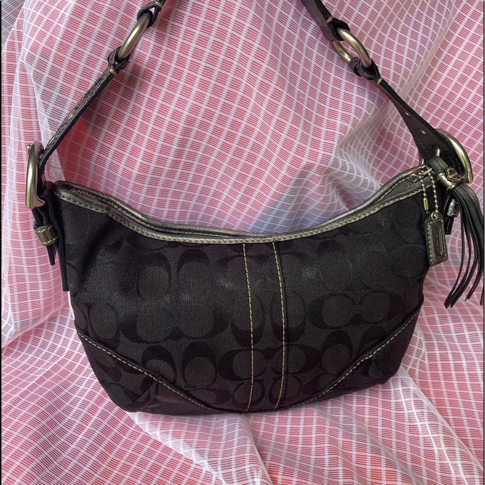 EUC Coach Hobo Lurex F05Q-8K36 Python Strap Black Women's Shoulder Bag